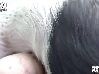 Mr Pig Stuff Just A Part xxx xnxx1