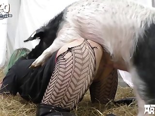 Devotehuendin Mr. Pig Stuff xxx xnxx3