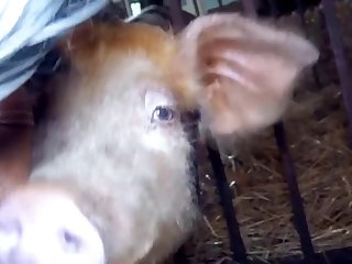 107864 9e7a34b9937a6cc1460e2e3f27bd696f xxx xnxx5