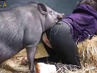 Zoobeg Farm Gangbang With Pig And Dogs Video xxx xnxx5