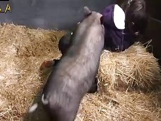 Zoobeg Farm Gangbang With Pig And Dogs Video xxx xnxx7