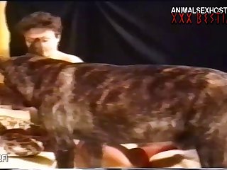 Calvista International Adventure With A Dog Sv 009