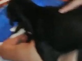 It Now Baby Right Up That Slut Hole Your Cunny's Gonna