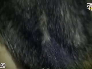 Xxx Porn Sex