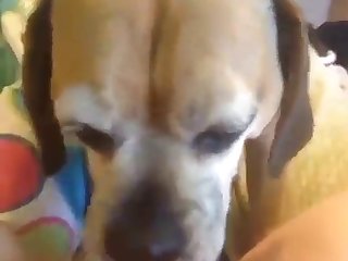 Attends Après Ton Départ Demandai Je Surpris