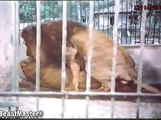 Maman Ne Pouvait Pas Croire Ce Qui Venait De Se Passer Et La Sensation Que Cela Provoquait