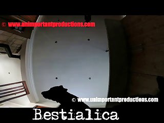 With Each Strike That Hit Home The Girls Chests Would